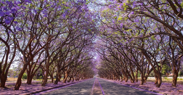 Stand for Sale in Norton